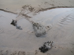 SX33195 Building dams on Llantwit Major beach.jpg